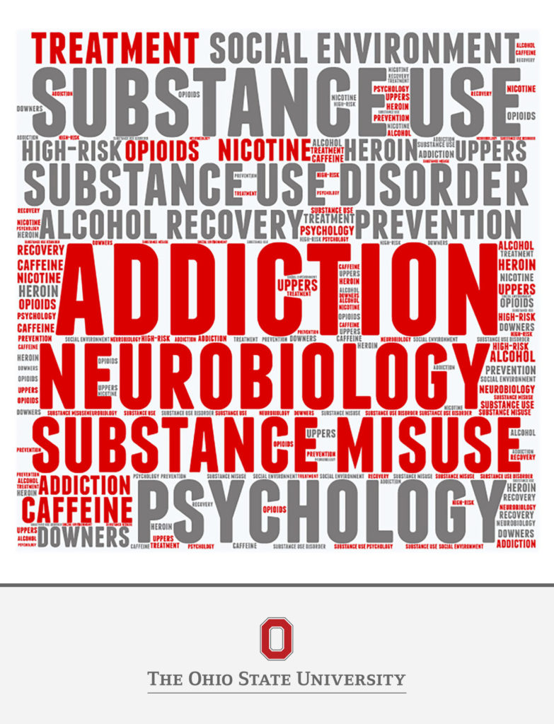 Theories and Biological Basis of Substance Misuse, Part 1 book cover