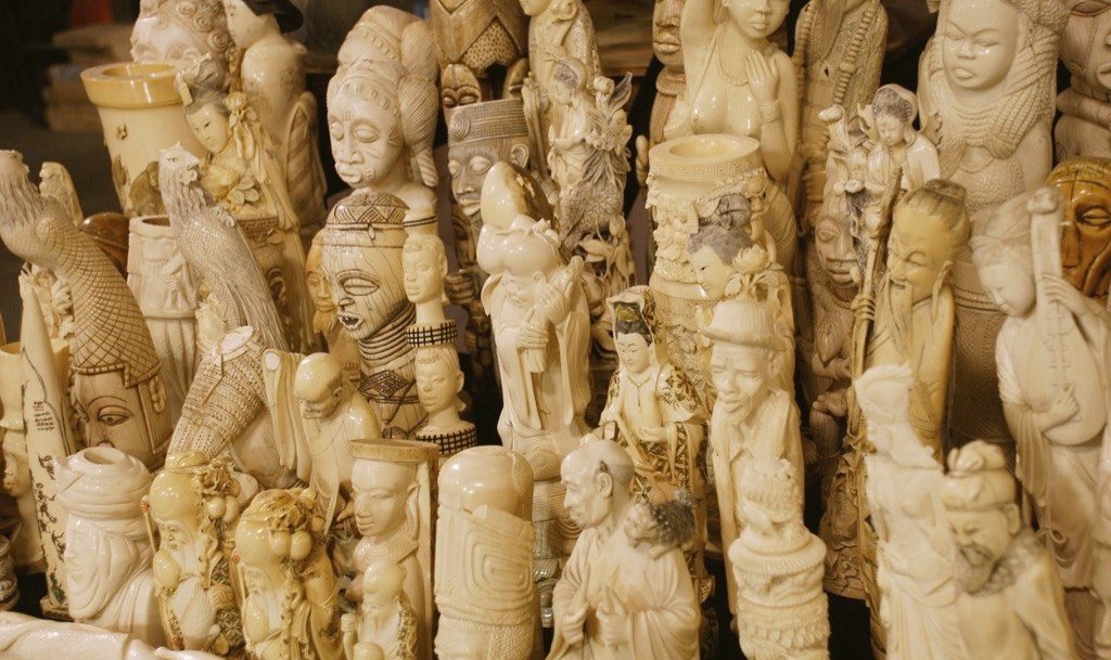 Rows of Ivory Statues Crafted from Elephant Tusks