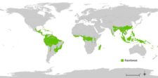 2.2 A Bitter Brew- Coffee Production, Deforestation, Soil Erosion and ...