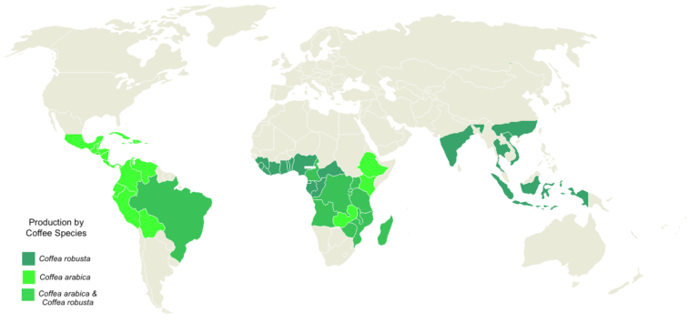 2.2 A Bitter Brew- Coffee Production, Deforestation, Soil Erosion and ...