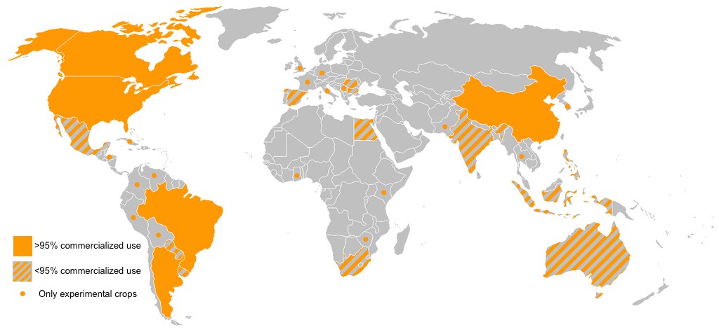 Comercialized and experiemental GMO production around the world, 2005