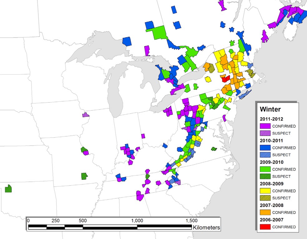 White-Nose Syndrome by County in the United States both Confirmed and Suspected