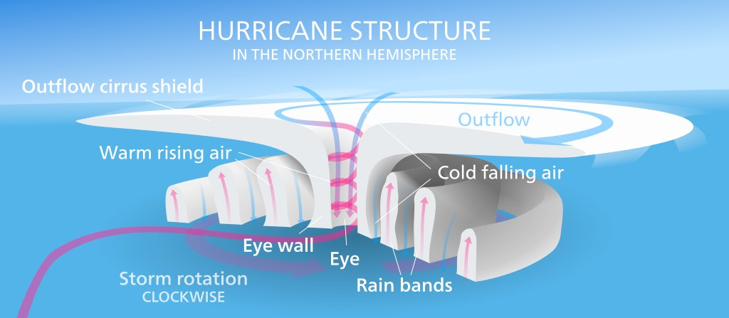 Cross section diagram of a hurricane