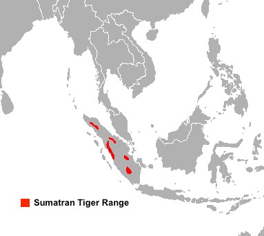 Sumatran Tiger Population Chart