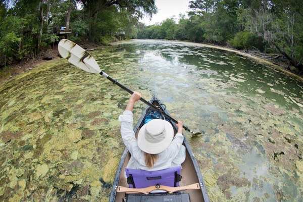 Kayak Proceeding Through Algae Filled River