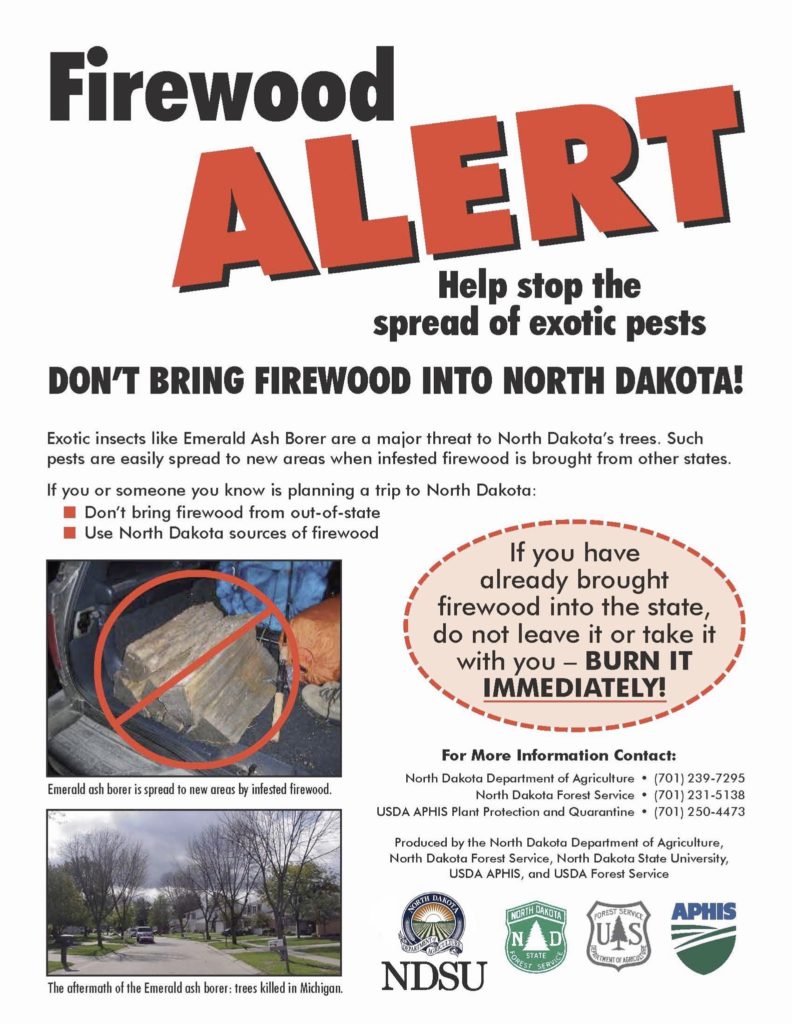 Firewood Alert Flyer