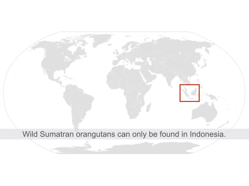 World Map Highlighting Indonesia
