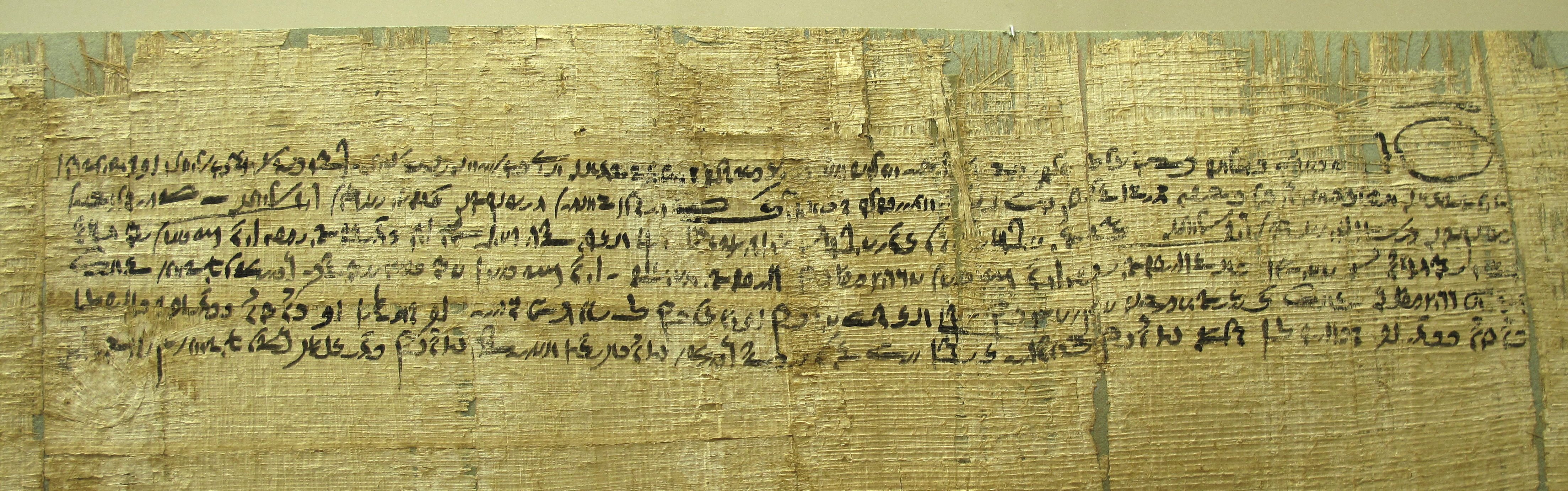 Image of Demotic Written on Papyrus 