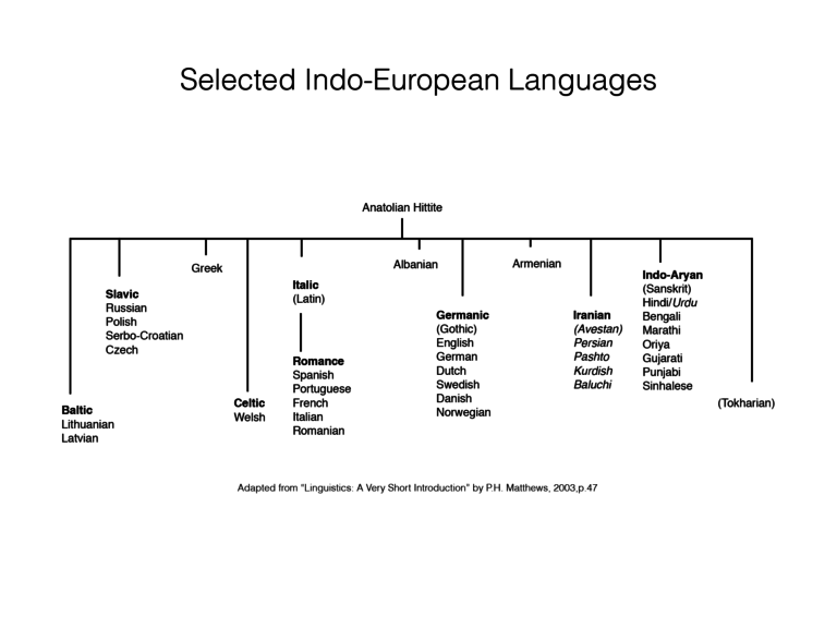 Linguistic Groups – Keys to Understanding the Middle East