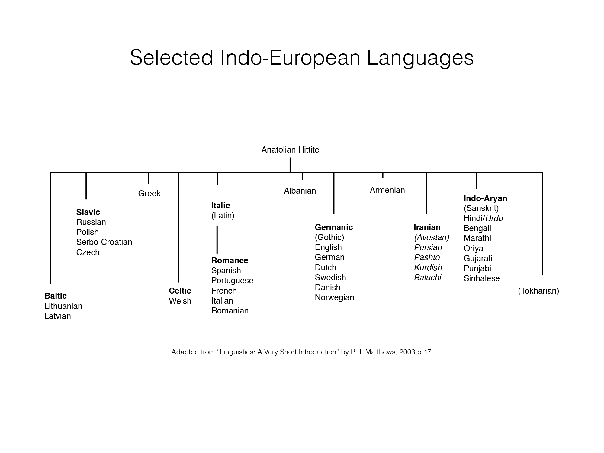 Germanic Branch Chart