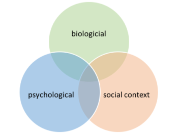 Ch. 4: Classifying Theories – Theories and Biological Basis of Addiction