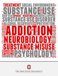 Theories and Biological Basis of Addiction book cover
