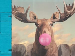 mural of moose with bubble gum