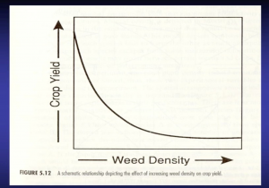 cropy yield on y axis weed density on x axis. crop yield decreases in an exponential fashion in response to yield density