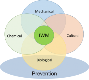venn diagram with biological, chemical, mechanical, and cultural control overlapping to denote IWM. Prevention category overlaps only with biological control.