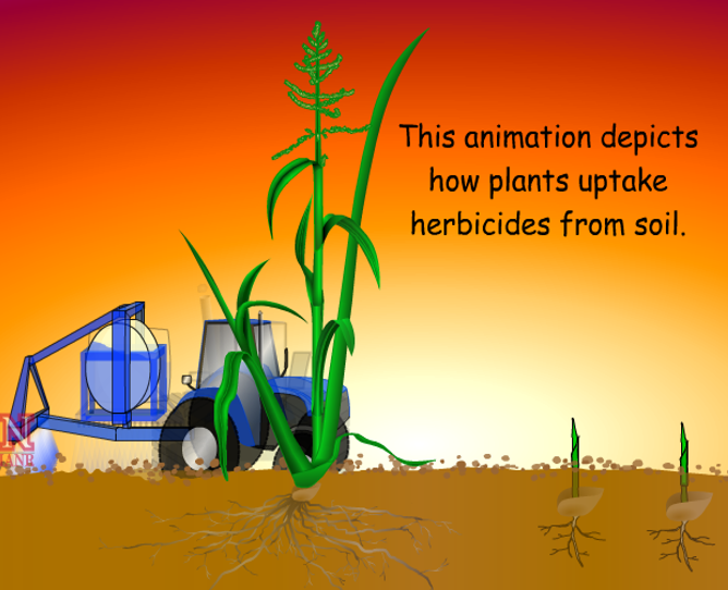 screenshot of animation with plants and a tractor and pull behind herbicide applicator