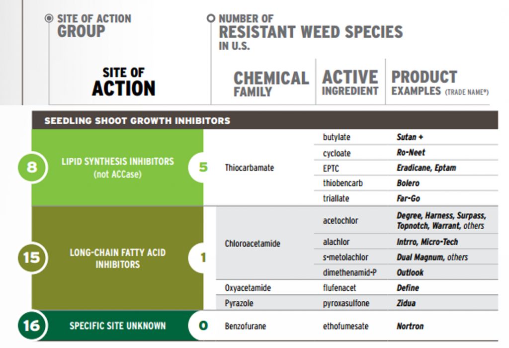 seedling shoot growth inhibitors excerpt from take action herbicide classification chart