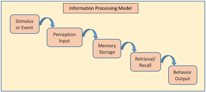 Illustration of the Information Processing Model