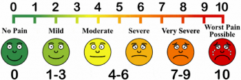 Module 3 Chapter 5: Overview of Methods for Data Collection and ...