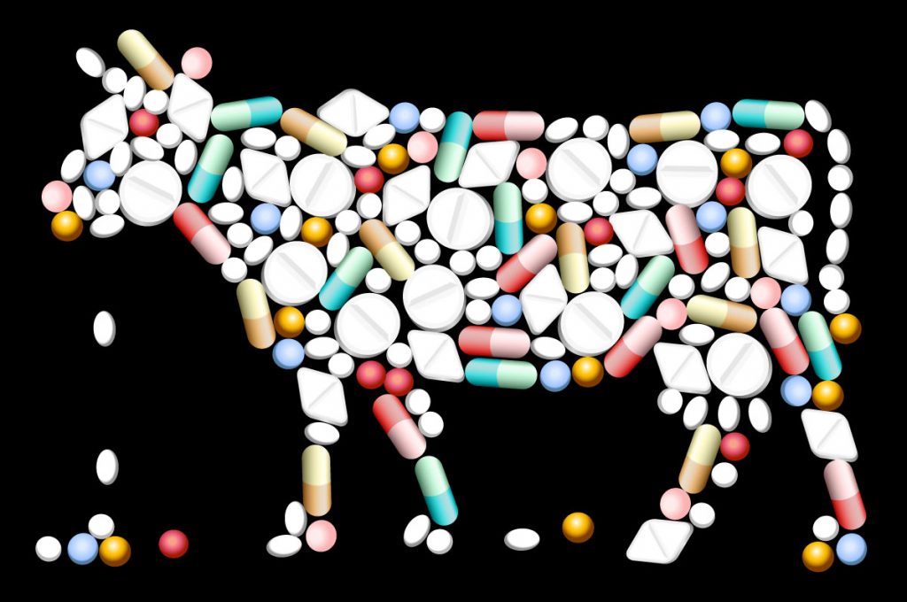 image of cow made up of pills
