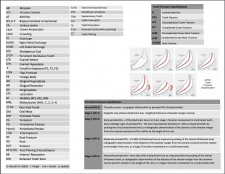 Dental Charting – OSU CVM Veterinary Clinical and Professional Skills