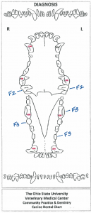 Dental Charting – OSU CVM Veterinary Clinical and Professional Skills ...