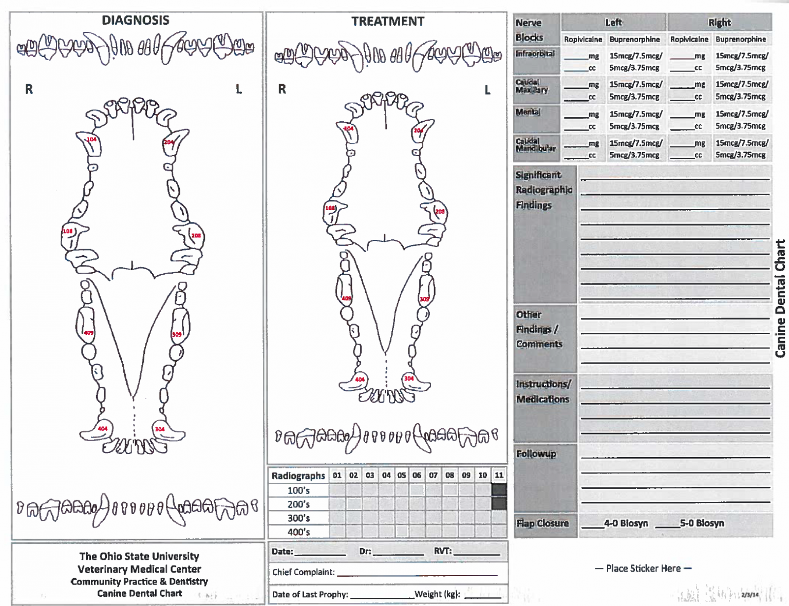 Dental Charting – OSU CVM Veterinary Clinical and Professional Skills