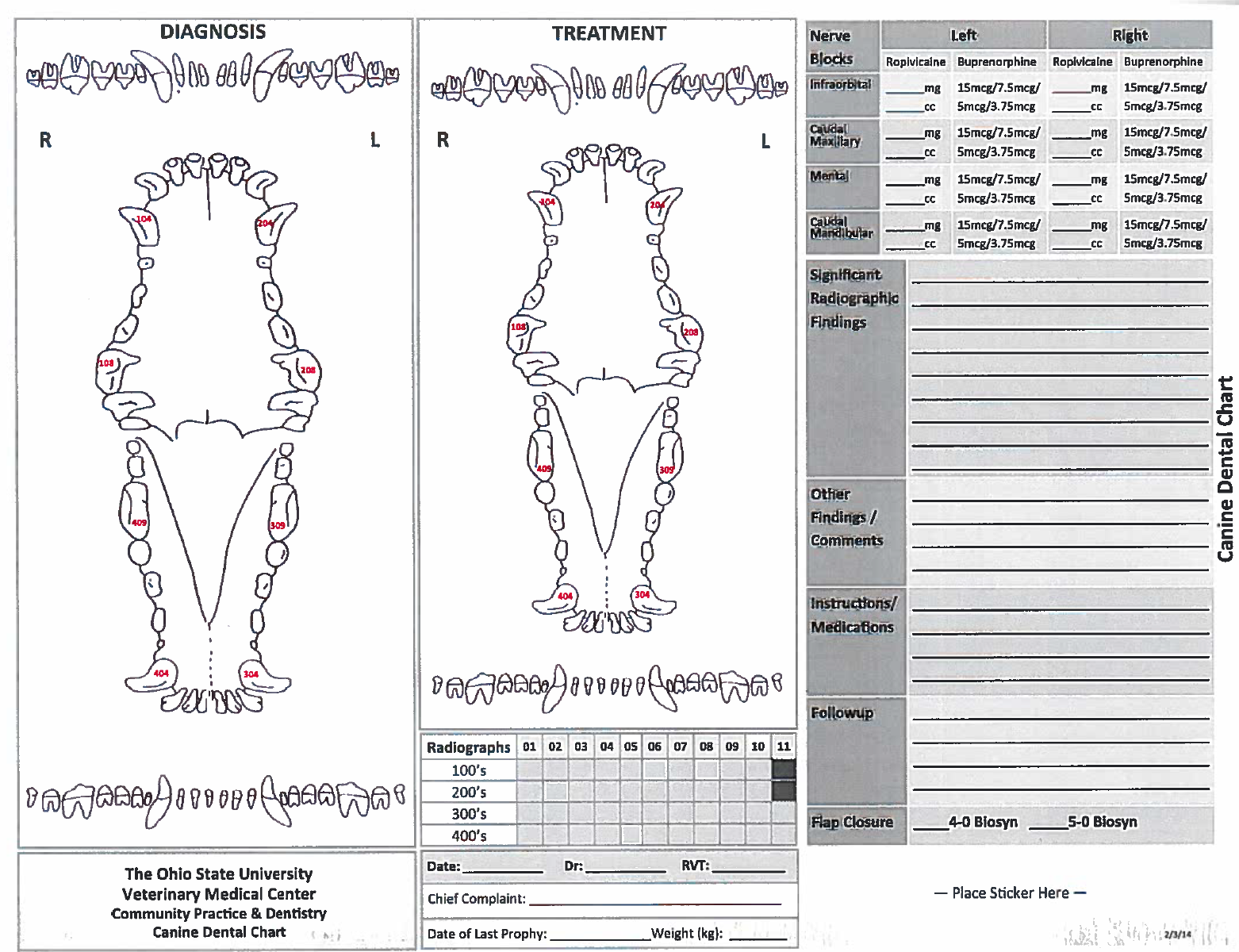 Dental Charting OSU CVM Veterinary Clinical and Professional Skills