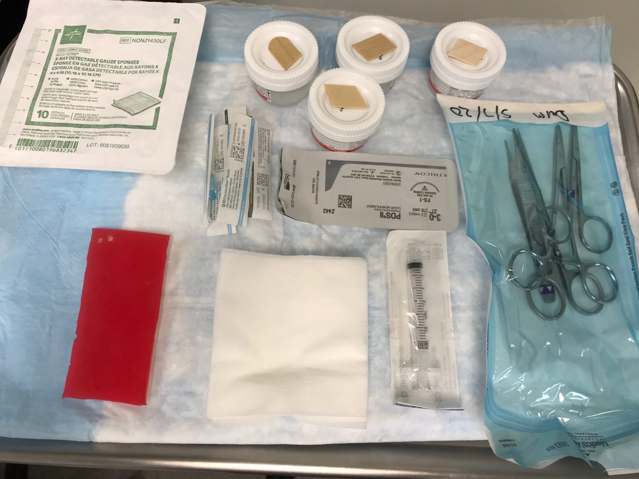 Skill Practice Skin Biopsy at Home OSU CVM Veterinary Clinical and