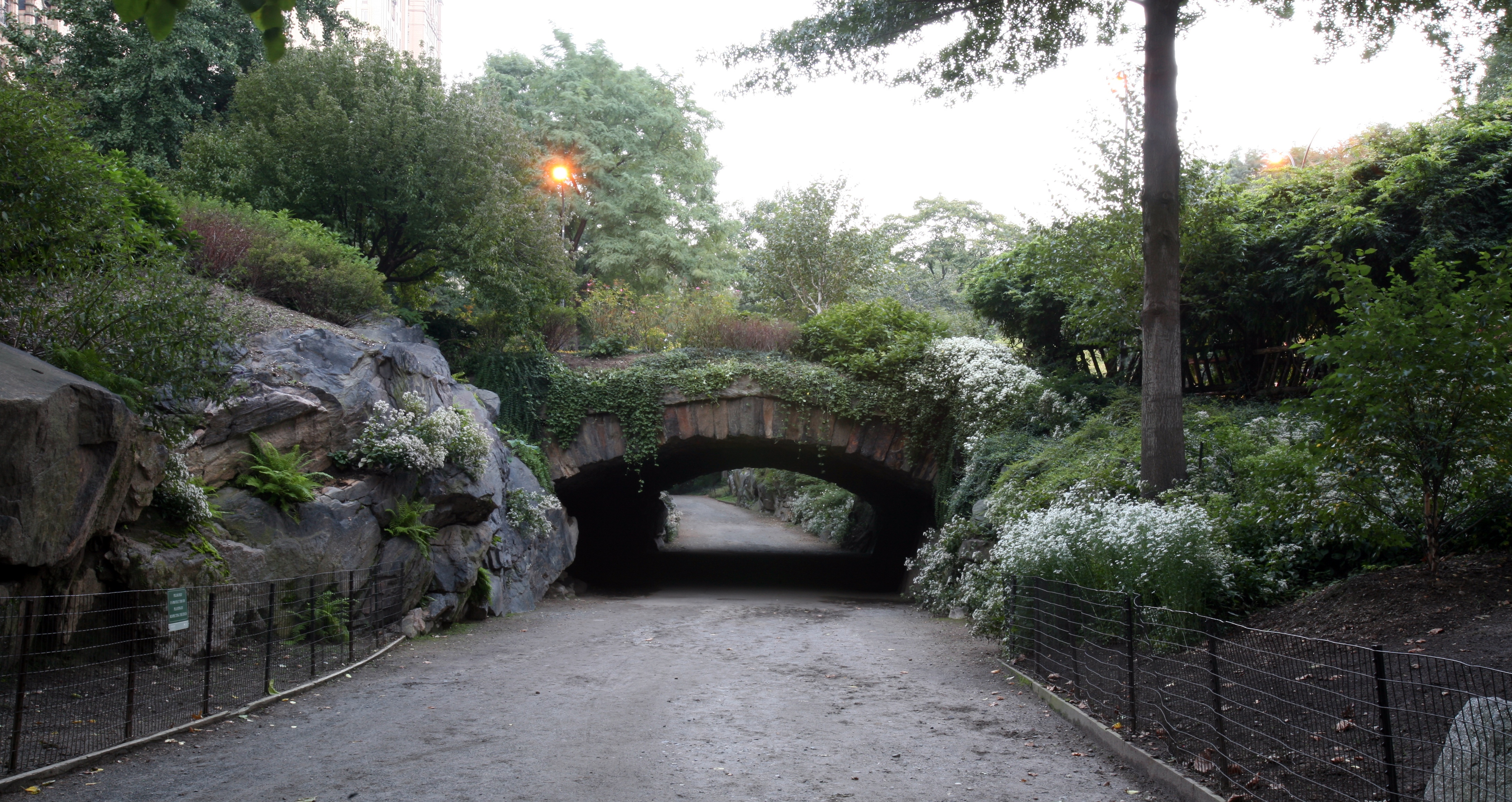 Image of Bridge in Central Park