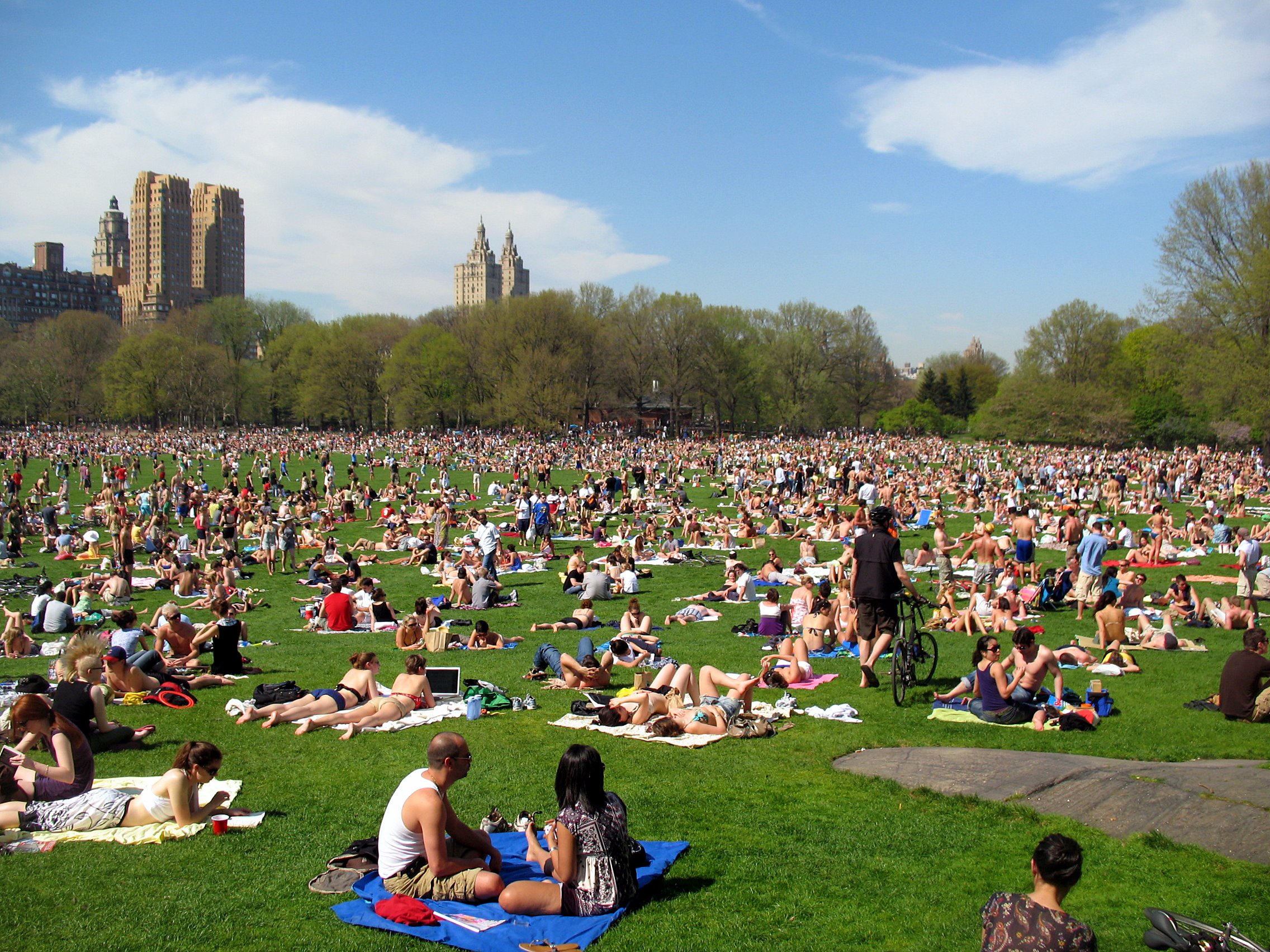 Image of Meadow with lots of people.