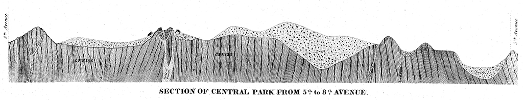 section central park change