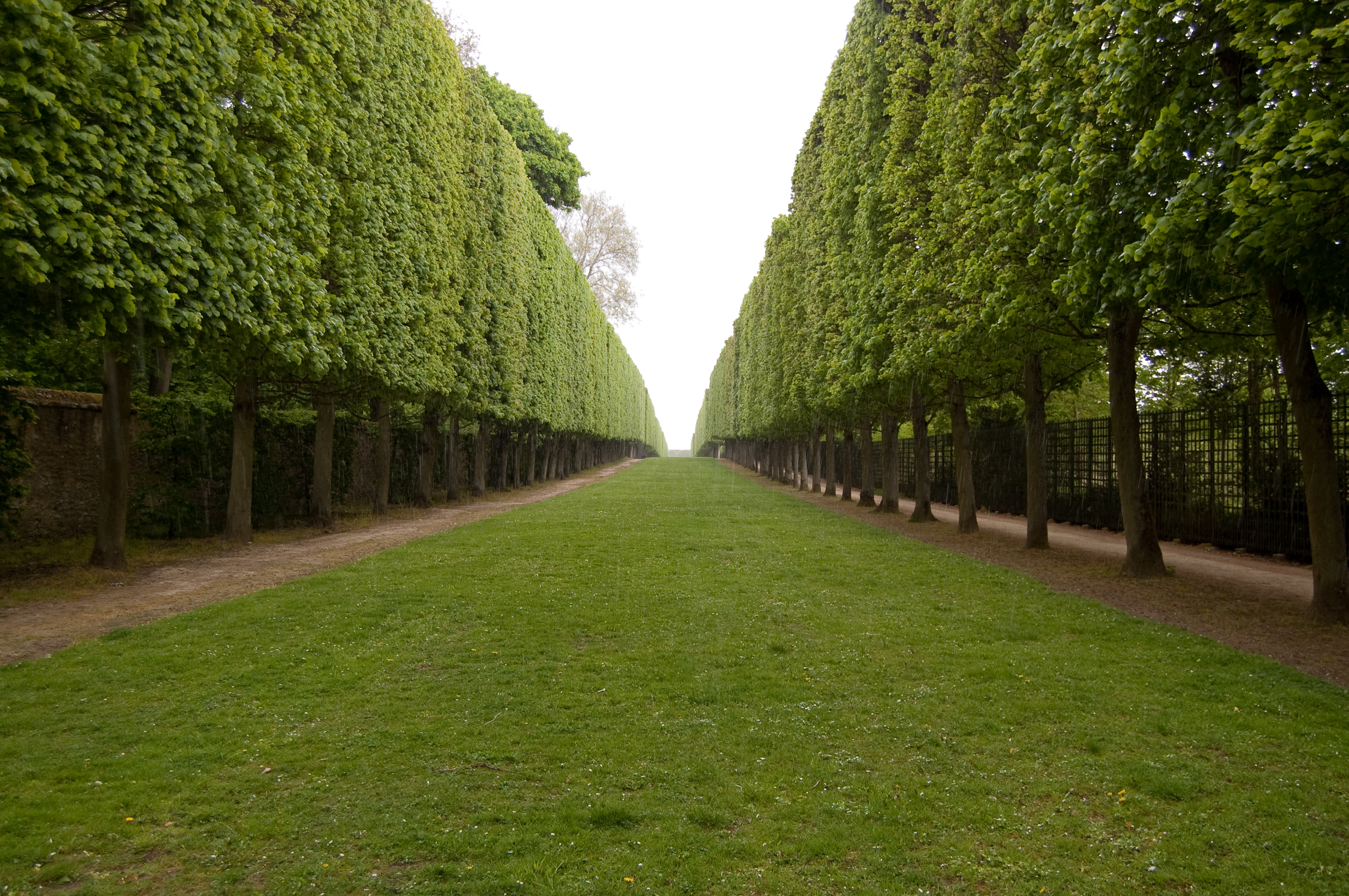 Image of one of the Allee's at Vesailles.