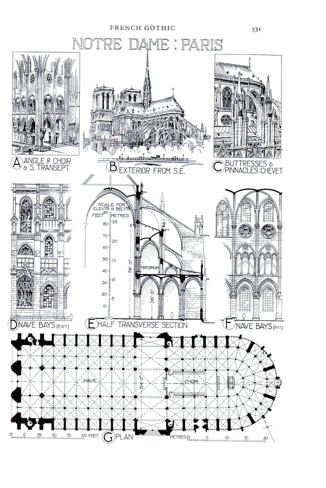 Image of notre dame drawings