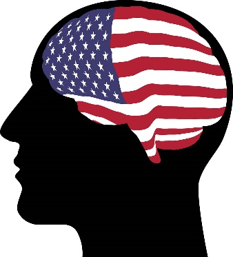 Silhouette of a person's head with the brain made of American flag