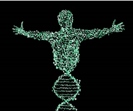image of a human silhouette formed out of DNA