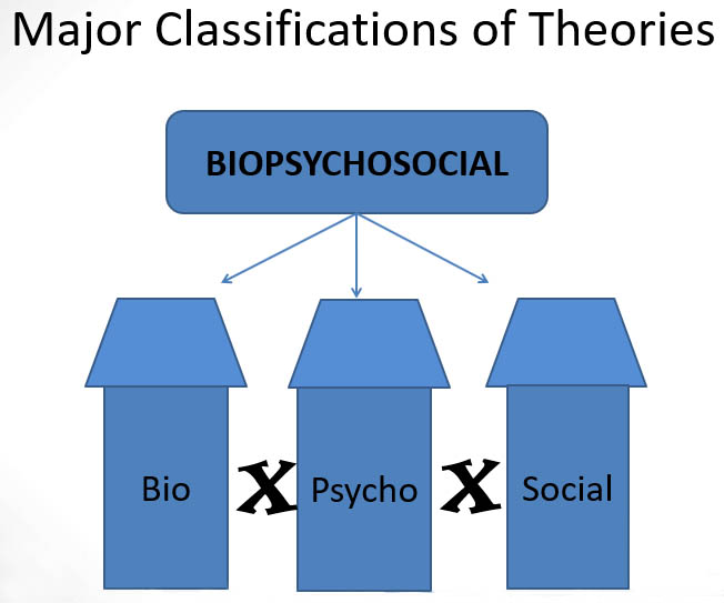Major Classification of Theories: Biopsychosocial at the top, filtering down to Bio X Psycho X Social