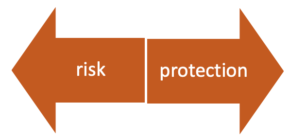 2 arrows pointing away from each other, one labeled "risk" and the other, "protection"