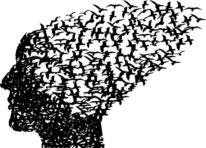 silhouette of a person composed of outlines of birds