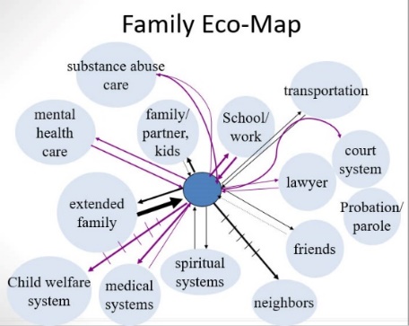 A Family Eco-map