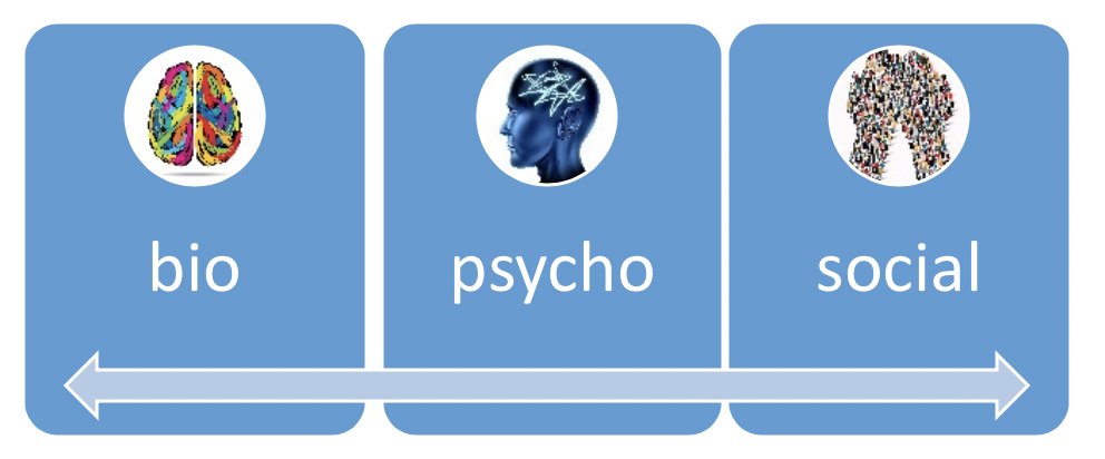 Image illustrating the continuum of bio psycho and social aspects