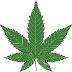 marijuana leaf