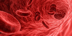 illustration of blood cells moving through a vein