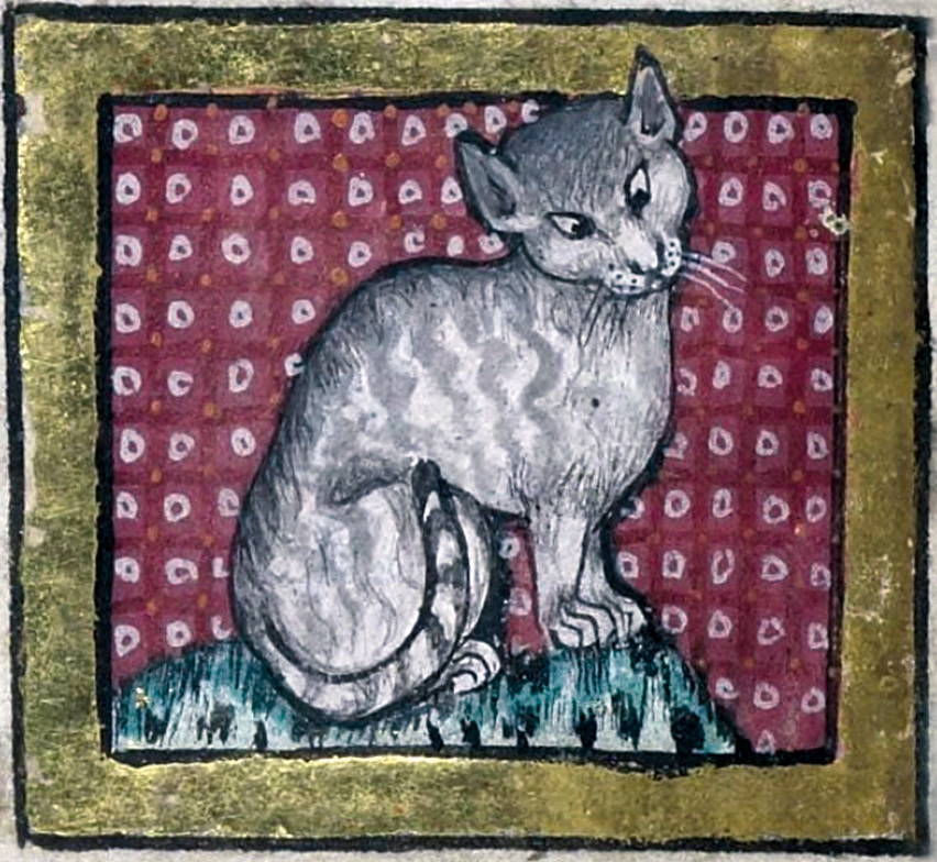 Medieval image of a cat