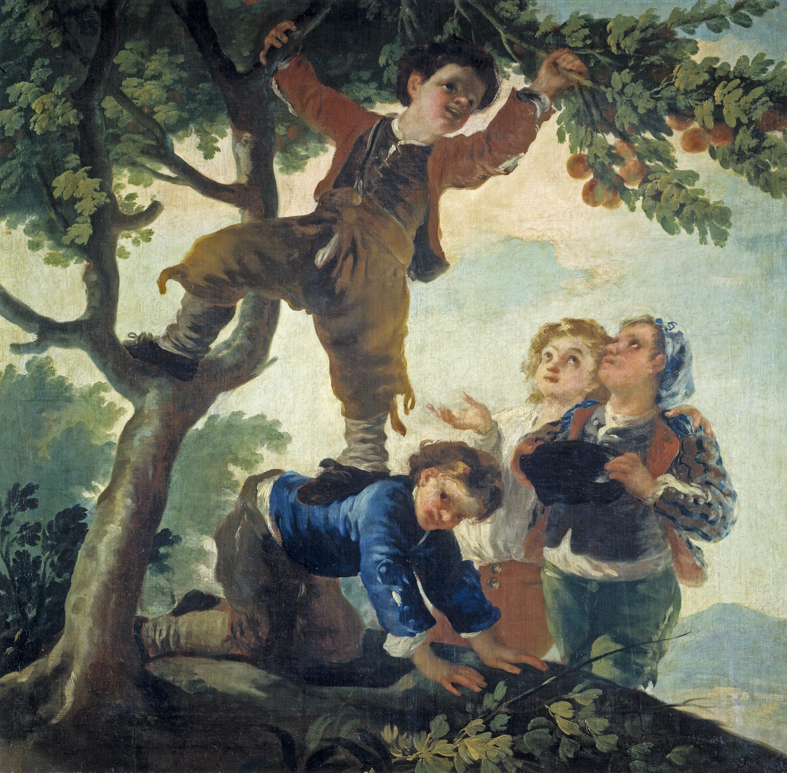 Boys picking fruit