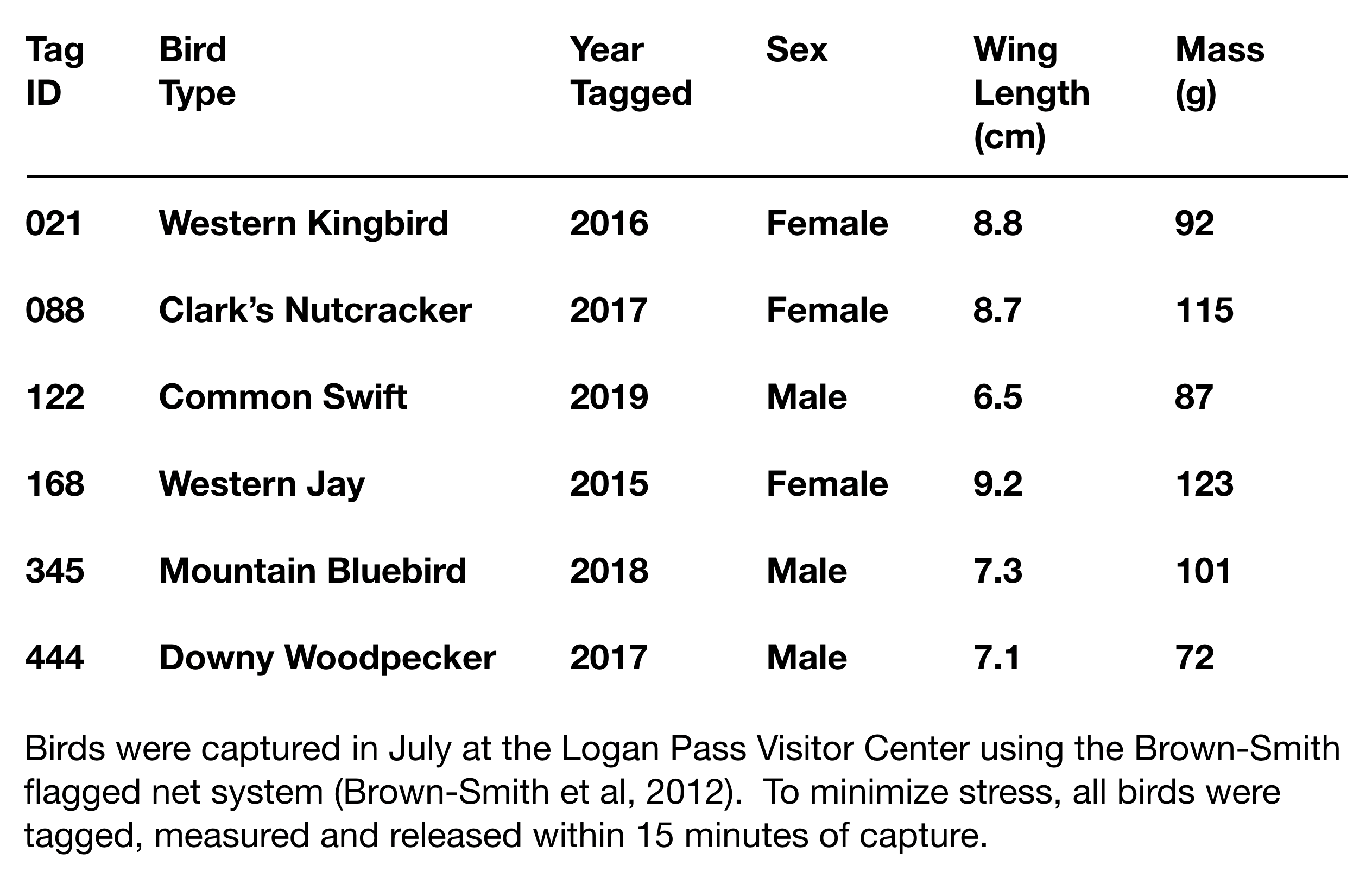 table showing tag ID, bird type, year tagged, sex, wing length, and mass for an example data collection of bird banding