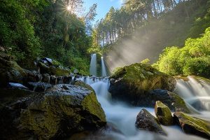 Image of a vibrant waterfall with surrounding forest, rocks, moss, and greenery, and a ray of sun casting through.