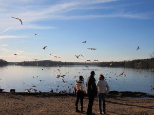Image of three people looking out over a body of water with birds flying above.