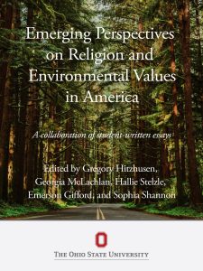 Emerging Perspectives on Religion and Environmental Values in America book cover