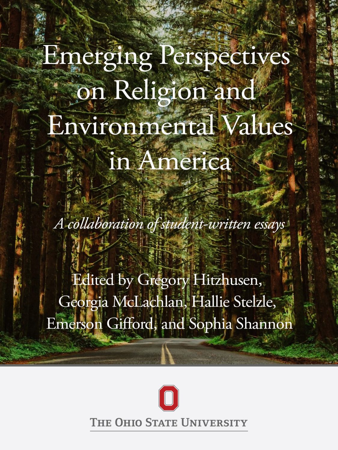 Cover image for Emerging Perspectives on Religion and Environmental Values in America